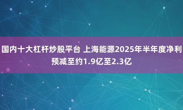 国内十大杠杆炒股平台 上海能源2025年半年度净利预减至约1.9亿至2.3亿